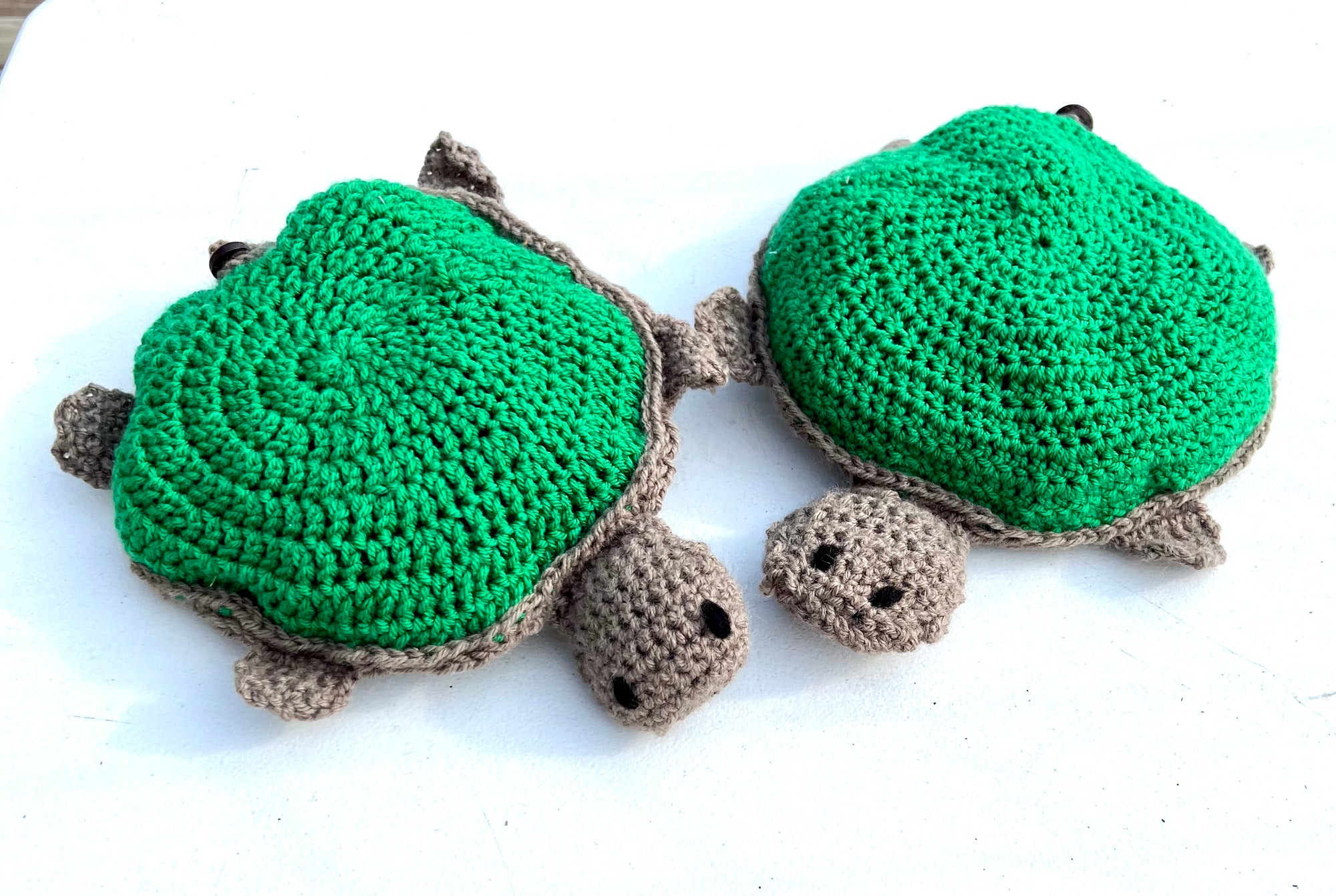 Memory Game - Mama Turtle Carry Case with 16 babies