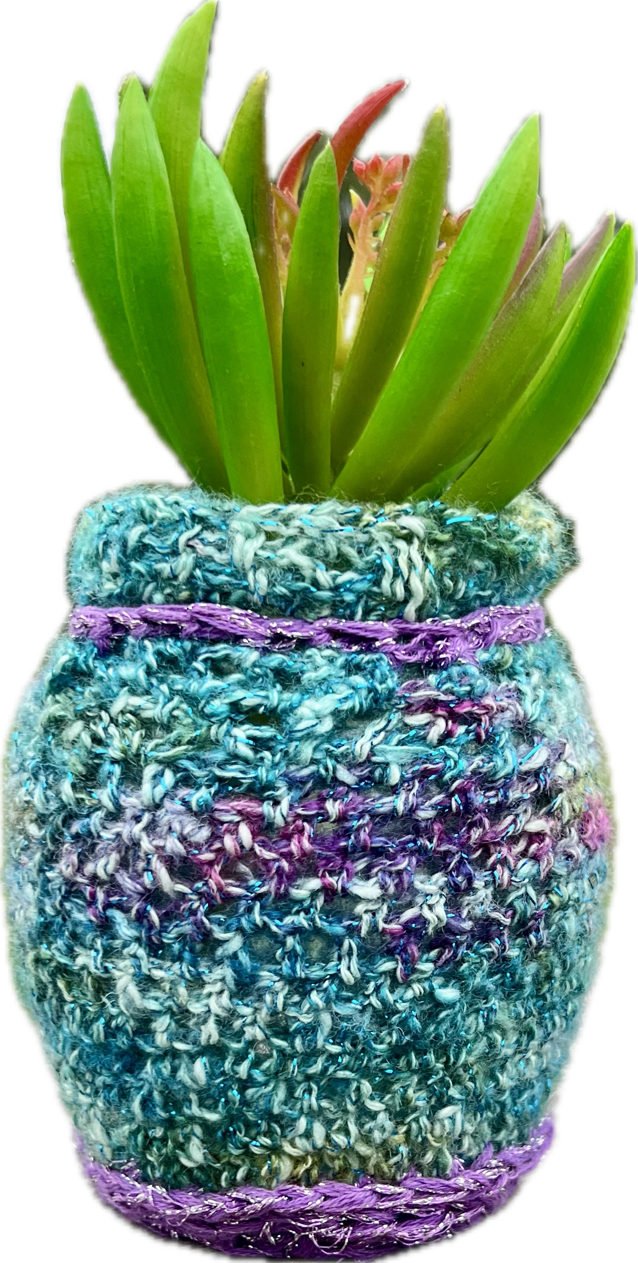 Upcycled glass jars into Vases
