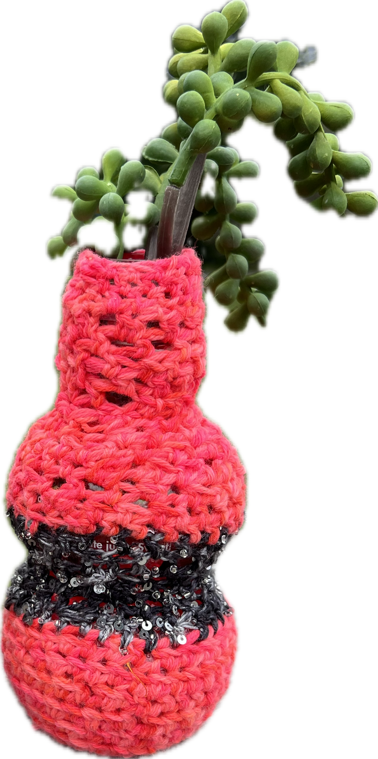 Upcycled POM juice bottle Vases