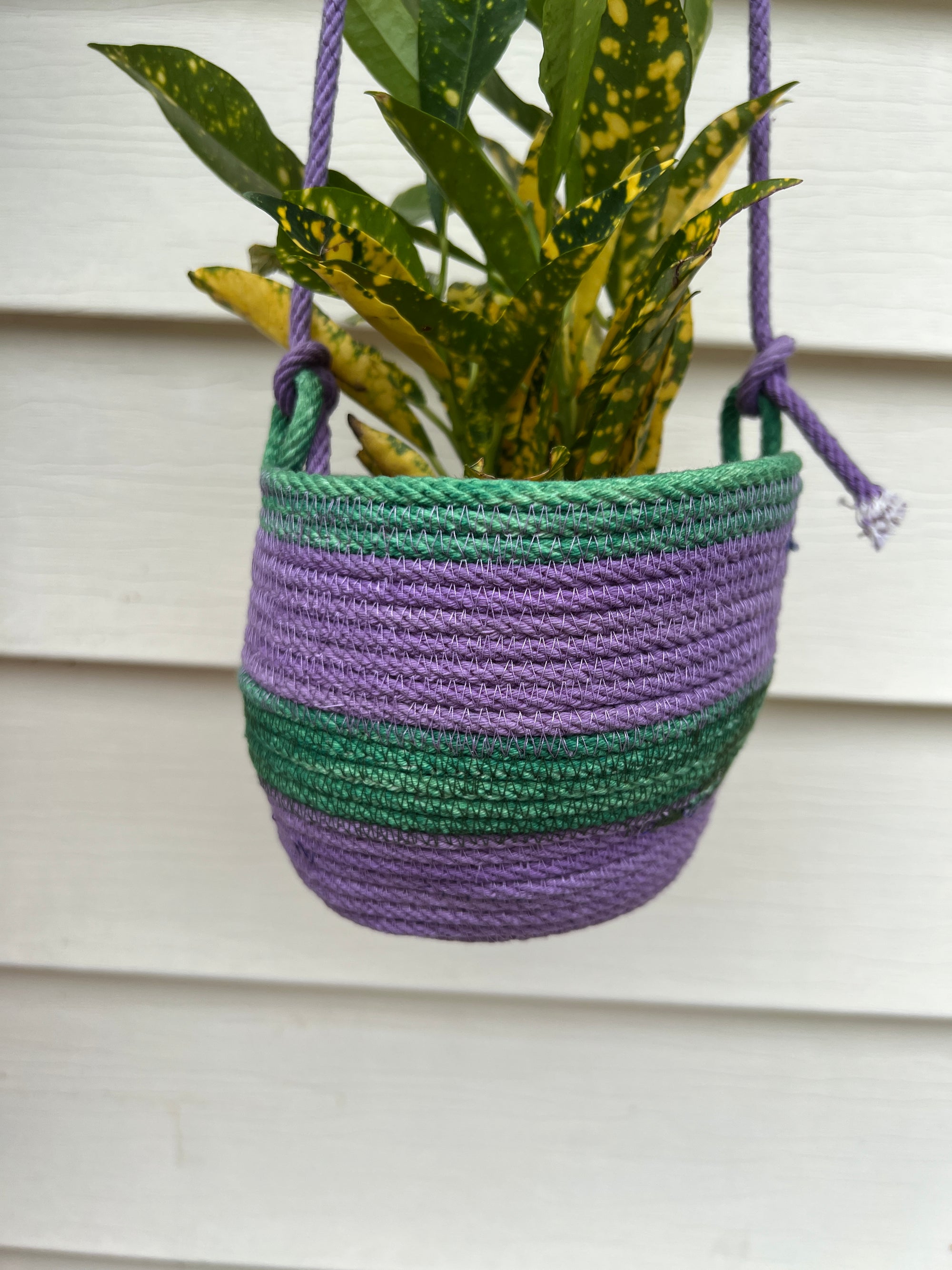 Hanging Planter Basket Grape and Green