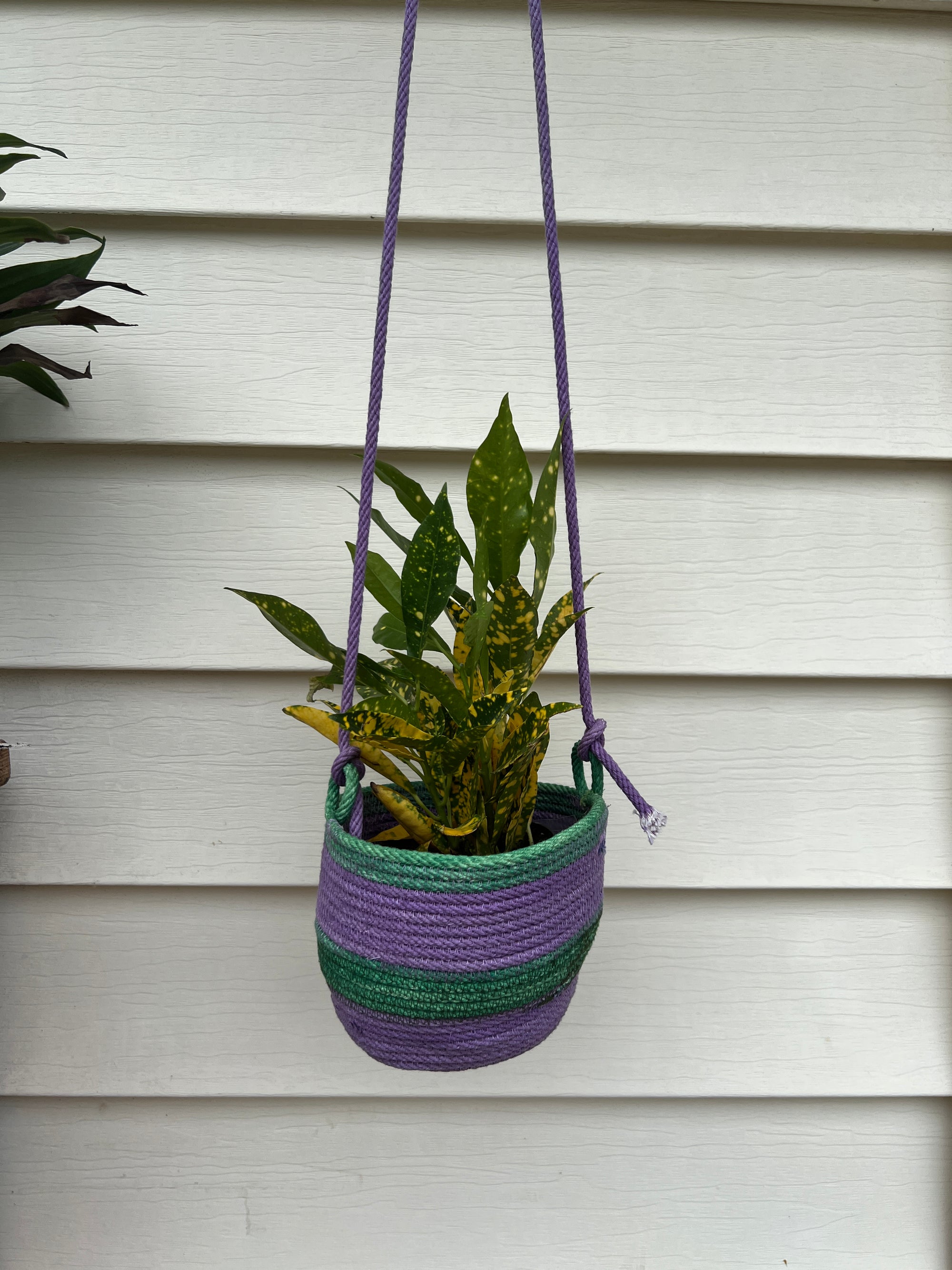 Hanging Planter Basket Grape and Green