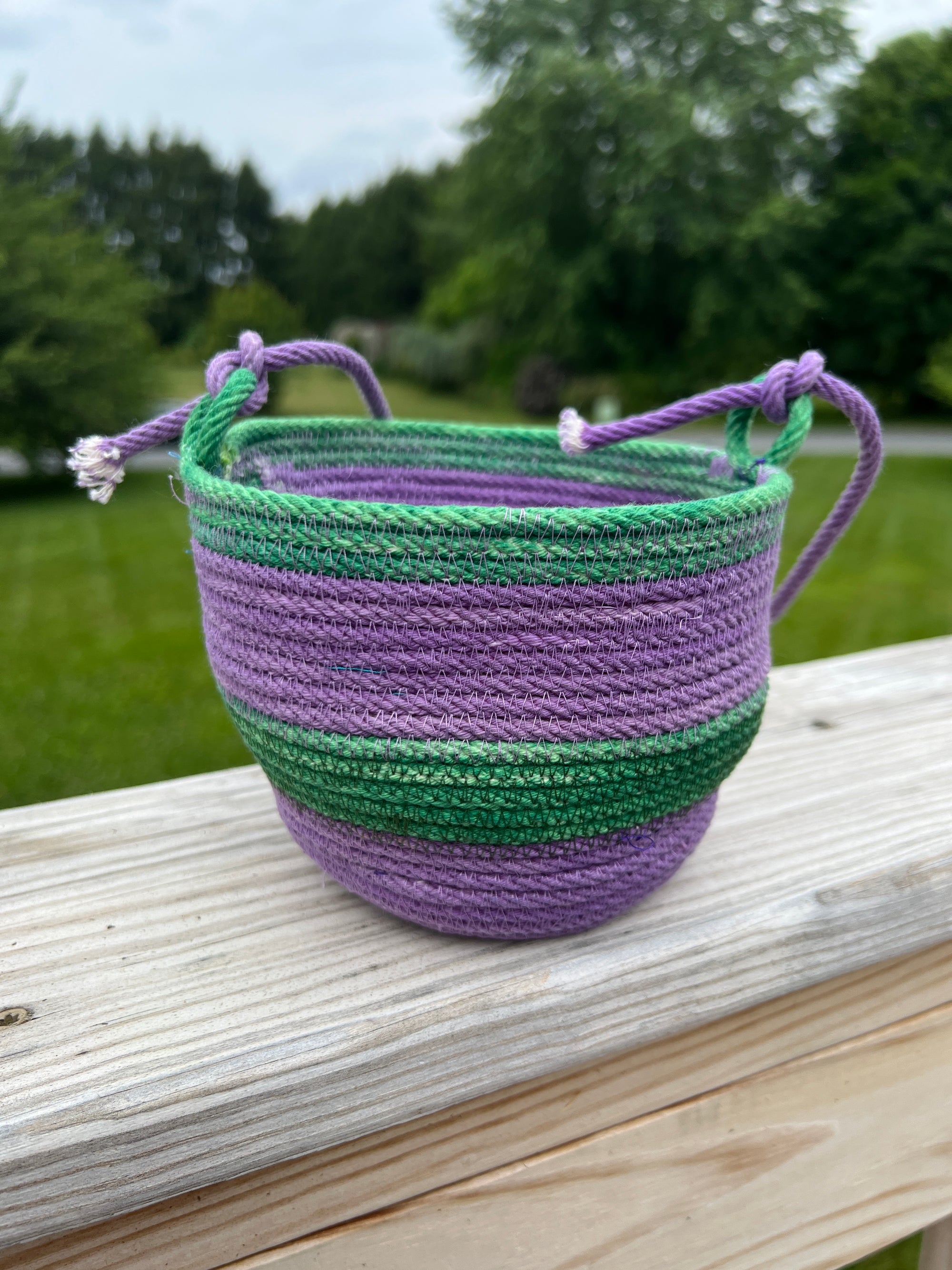 Hanging Planter Basket Grape and Green