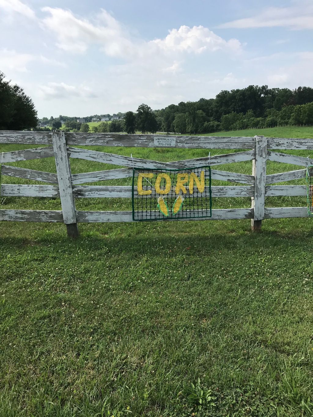 Corn for Sale - Roadside Sign - Yarnbombing All Season Sign
