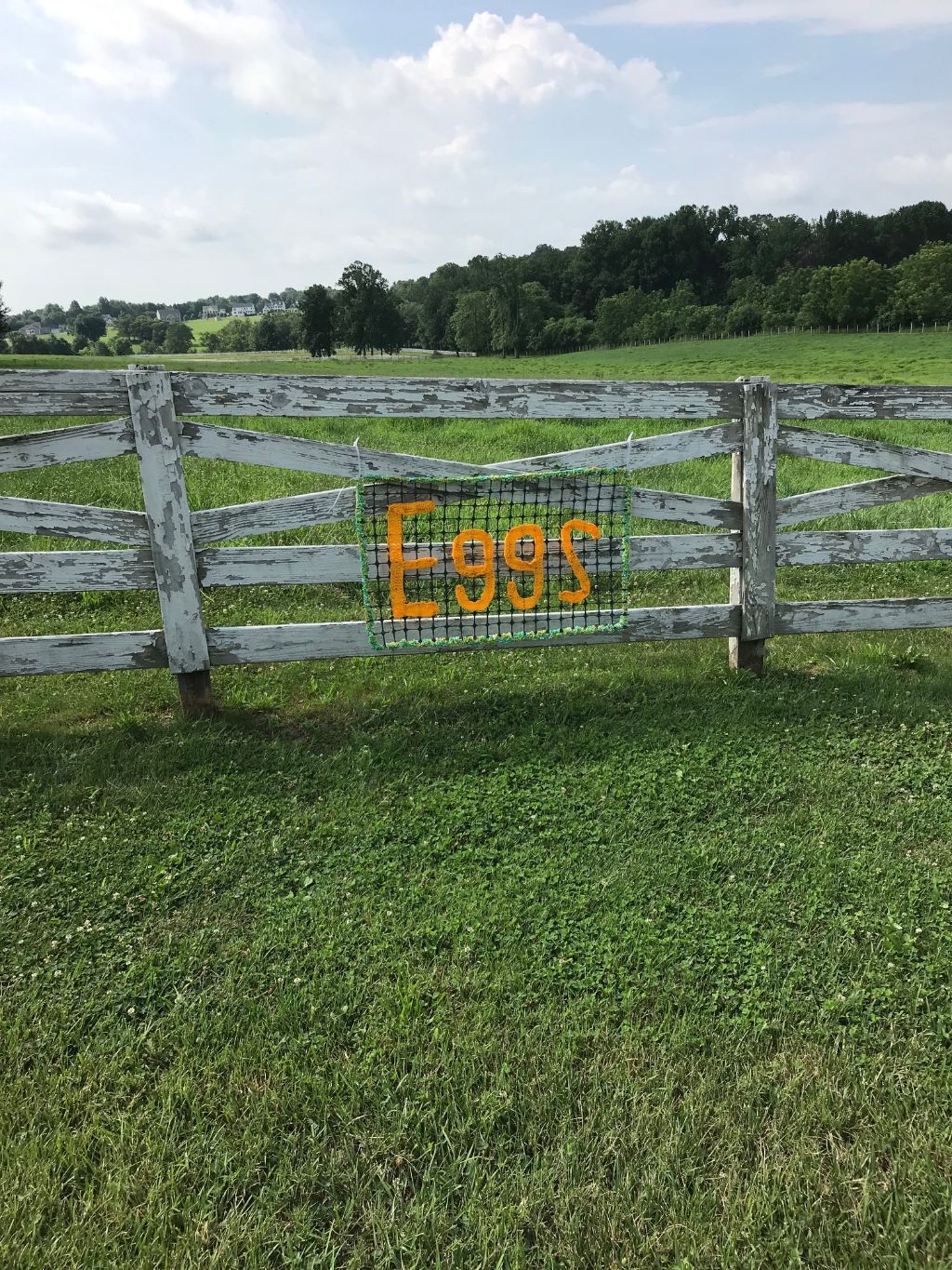 Eggs for Sale - Roadside Sign - Yarnbombing All Season Sign