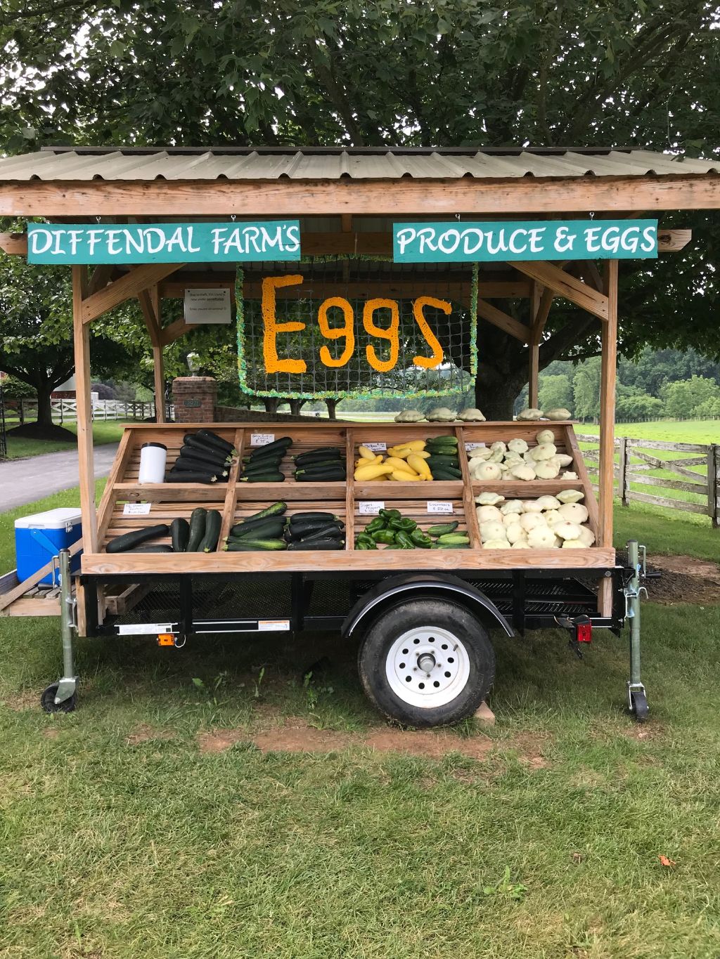 Eggs for Sale - Roadside Sign - Yarnbombing All Season Sign