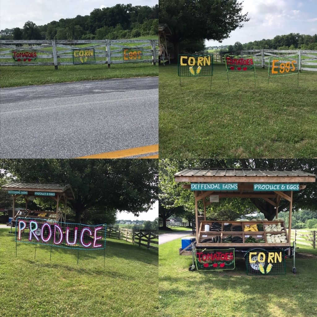 Custom Roadside Signs ,Yarn Signs to Hang or Stake,  Colorful Yarn Bomb Signs