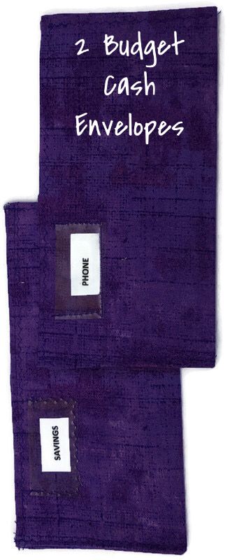 Wallet Organizer System Waterproof Zebra