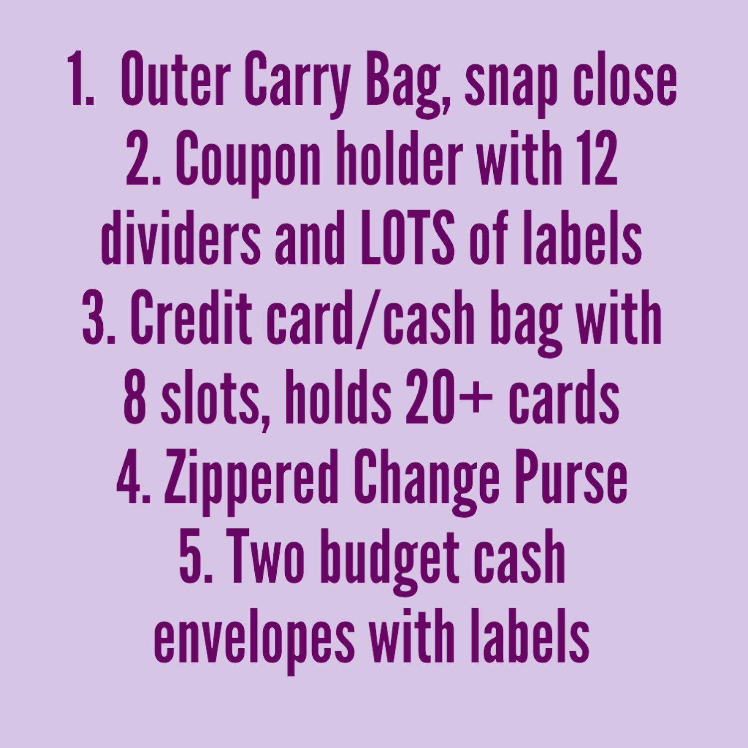 Budget Wallet Organizer System  Linear