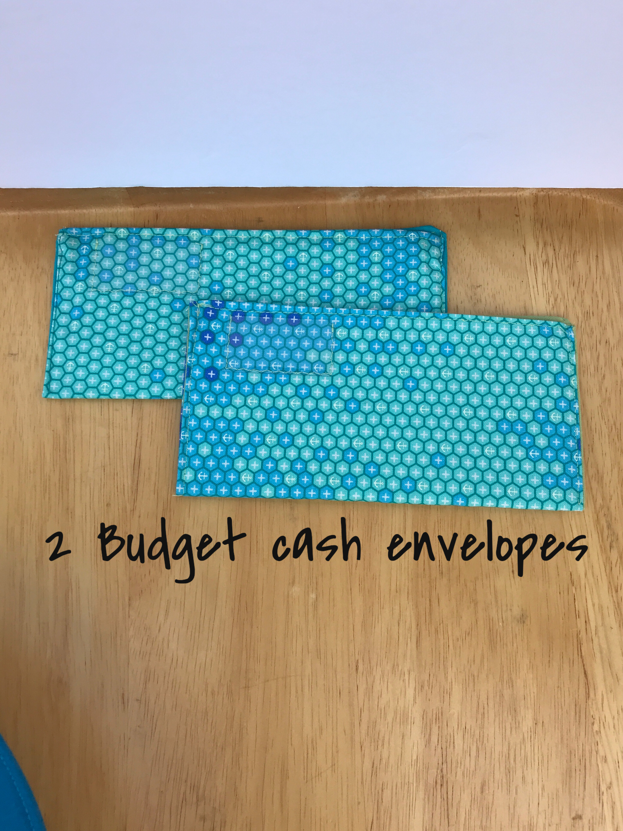 Budget Wallet Organizer System Turquoise and Pink Floral